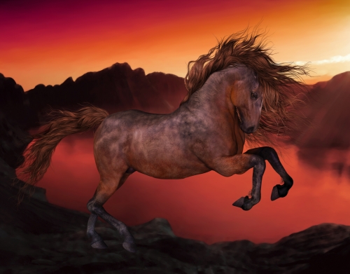 A Horse In The Sunset handyhüllen