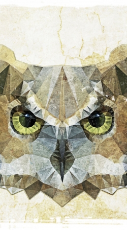 abstract owl handyhüllen