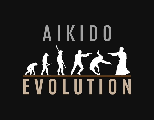 Aikido Evolution handyhüllen