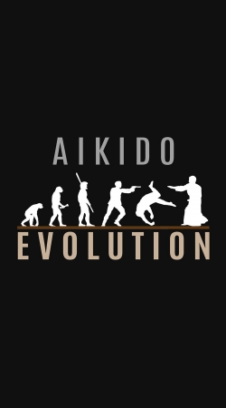 Aikido Evolution handyhüllen