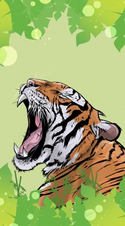 Animals Collection: Tiger  handyhüllen