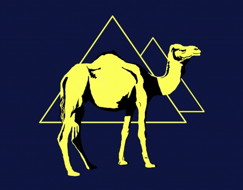 Arabian Camel (Dromedary) handyhüllen