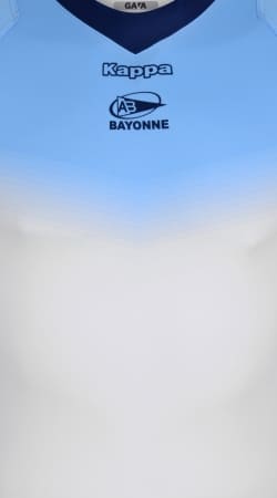 aviron bayonnais handyhüllen