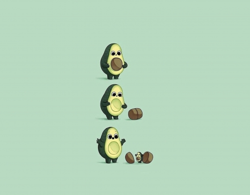Avocado Born handyhüllen