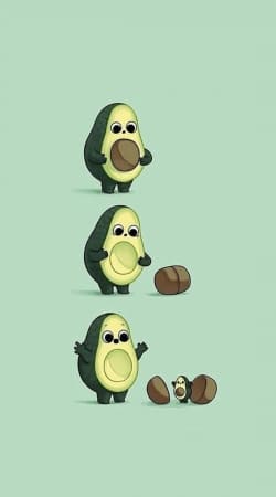 Avocado Born handyhüllen