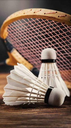 Badminton Champion handyhüllen