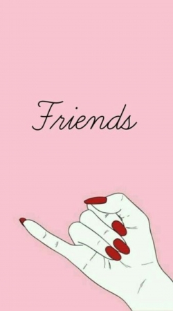 BFF Best Friends Pink Friends Side handyhüllen