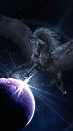 Black Pegasus handyhüllen