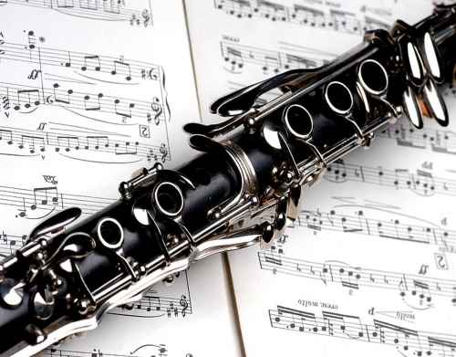 Clarinette Musical Notes handyhüllen