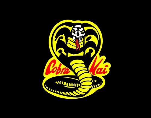 Cobra Kai handyhüllen