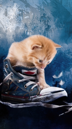 Cute kitten plays in sneakers handyhüllen
