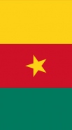 Flagge von Kamerun handyhüllen