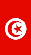 Flag of Tunisia handyhüllen