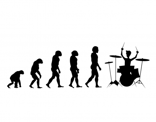 Evolution of Drummer handyhüllen