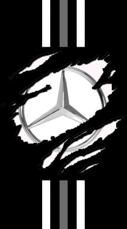 Fan Driver Mercedes GriffeSport handyhüllen