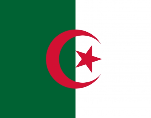 Fahne Algerien handyhüllen