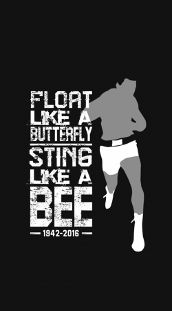 Float like a butterfly Sting like a bee handyhüllen