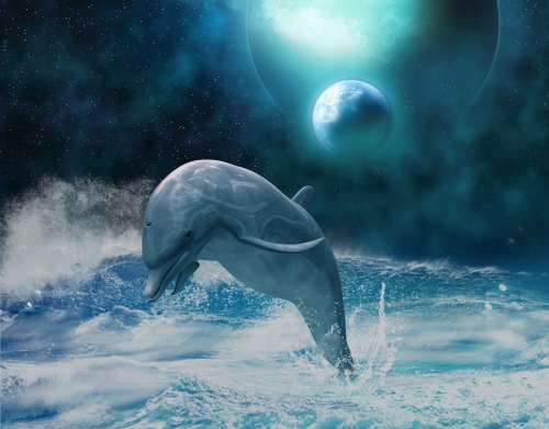 Freedom Of Dolphins handyhüllen