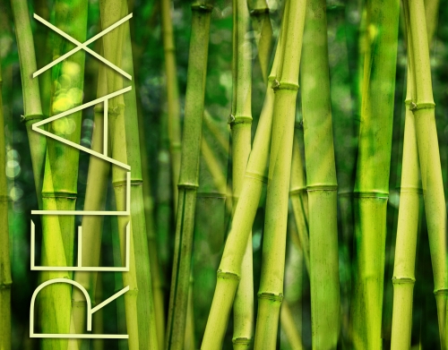 green bamboo handyhüllen