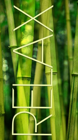 green bamboo handyhüllen