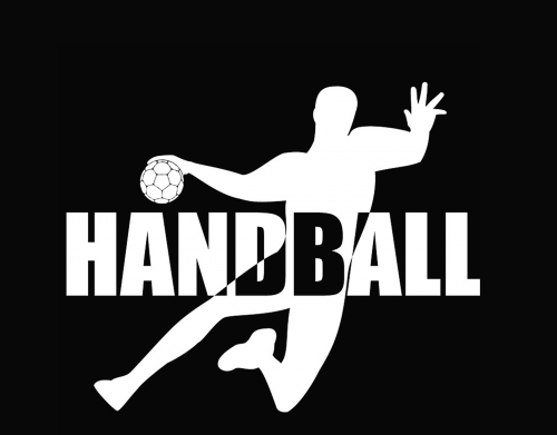 Handball Live handyhüllen
