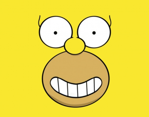 Homer Face handyhüllen