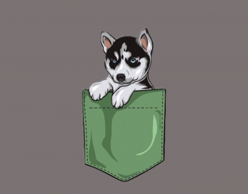 Husky Dog in the pocket handyhüllen