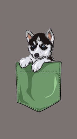 Husky Dog in the pocket handyhüllen
