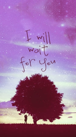 I Will Wait for You handyhüllen