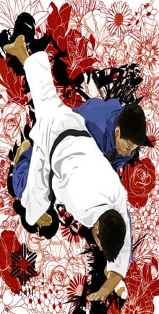 Judo handyhüllen