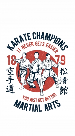 Karate Champions Martial Arts handyhüllen