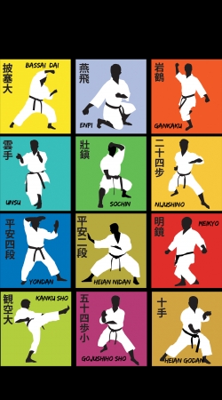 Karate techniques handyhüllen