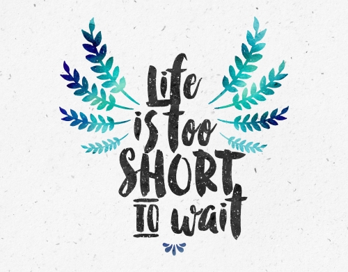 Life's too short to wait handyhüllen