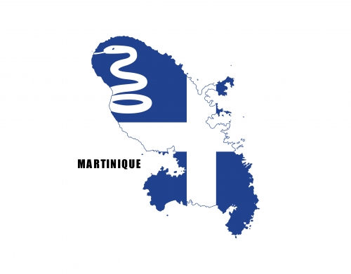 Martinique Flag handyhüllen