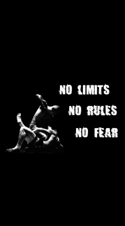 MMA No Limits No Rules No Fear handyhüllen