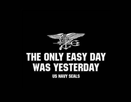 Navy Seal No easy day handyhüllen