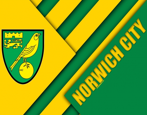 Norwich City handyhüllen