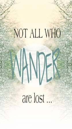 Not All Who wander are lost handyhüllen