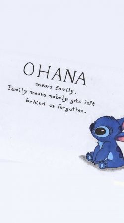 Ohana Means Family handyhüllen