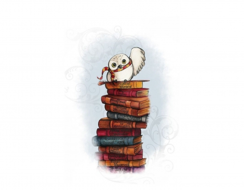 Owl and Books handyhüllen