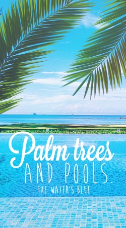 Palm Trees handyhüllen