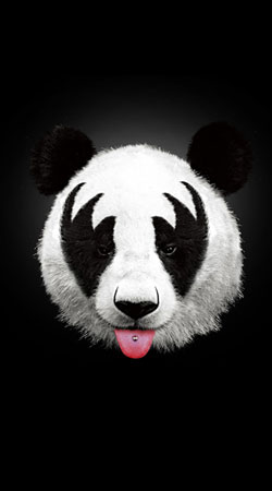 Kiss of a Panda handyhüllen