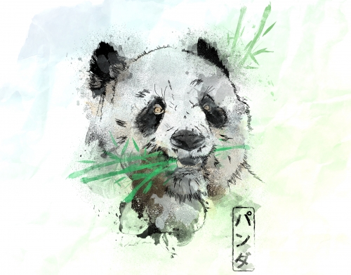 Panda Watercolor handyhüllen