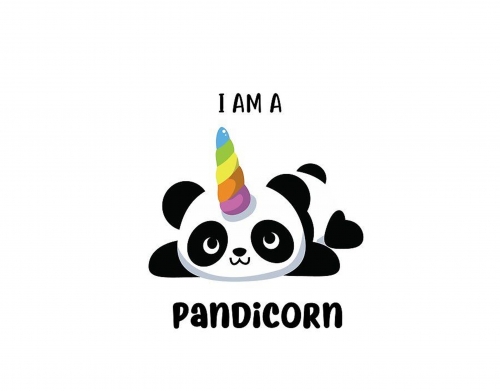 Panda x Licorne Means Pandicorn handyhüllen