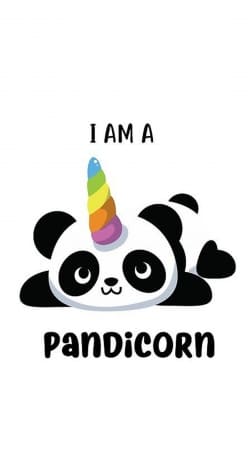 Panda x Licorne Means Pandicorn handyhüllen