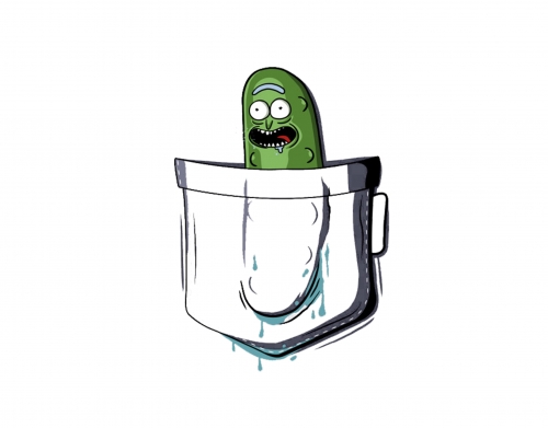 Pickle Rick handyhüllen