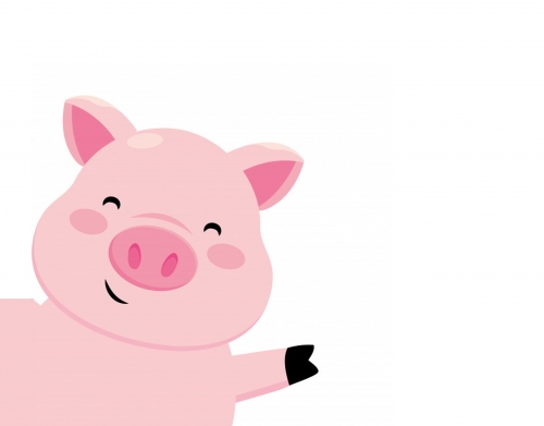 Pig Smiling handyhüllen