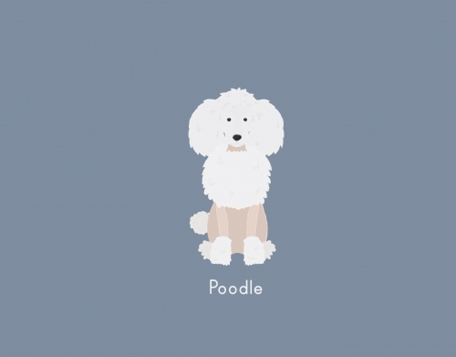 Poodle White handyhüllen
