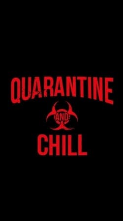 Quarantine And Chill handyhüllen