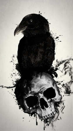 Raven and Skull handyhüllen
